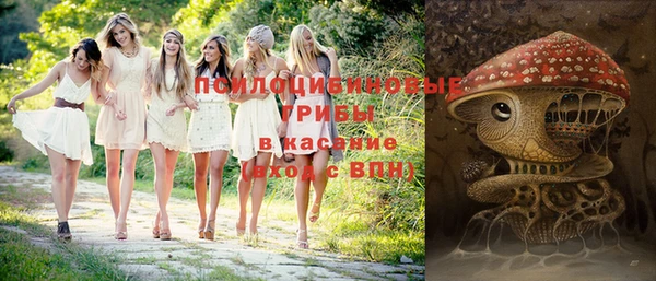 MDMA Белокуриха