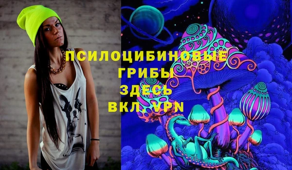 мдпв Беломорск