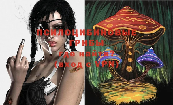 MDMA Белокуриха
